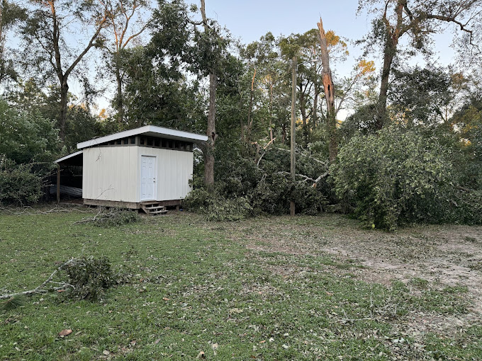 A shed in the middle of a field with trees around it