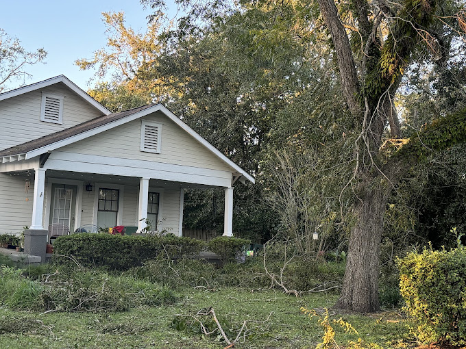 A white house with a tree in front of it