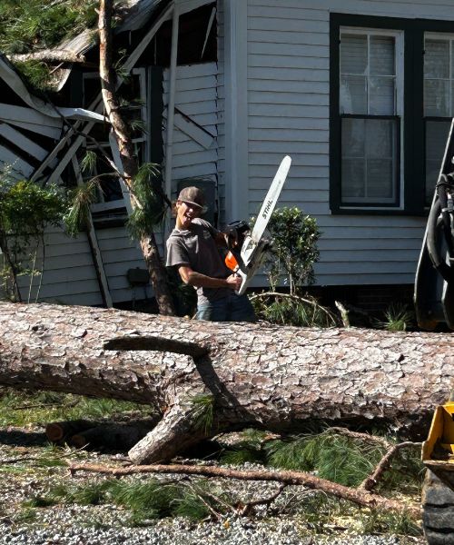 A man standing next to a fallen tree