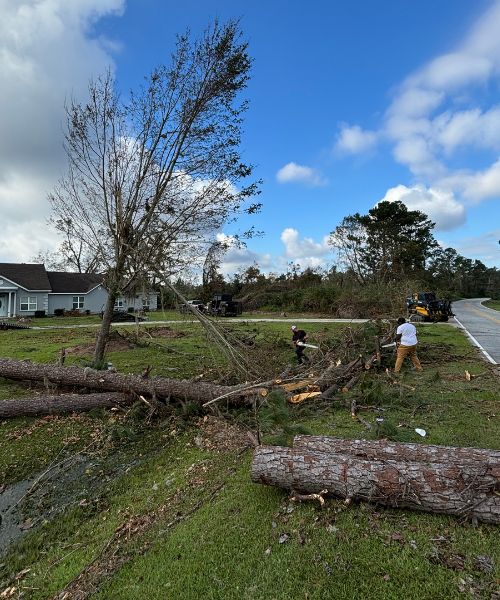 A couple of people standing next to a fallen tree