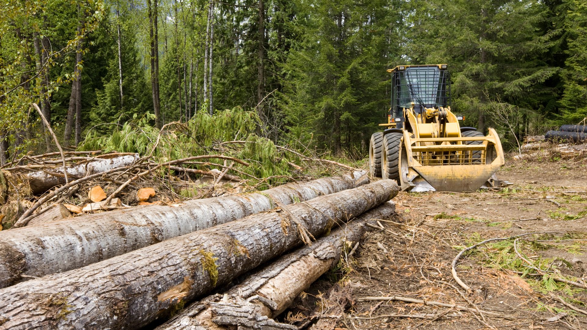 A bulldozer is parked next to a pile of logs