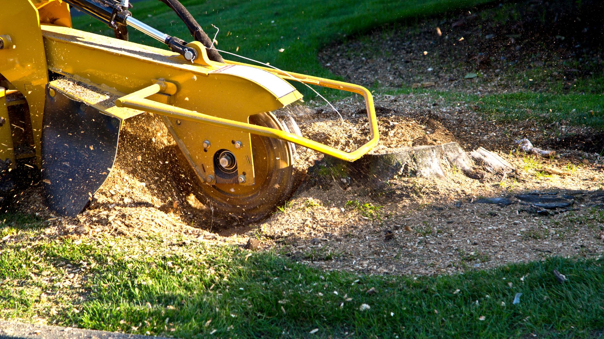 A yellow machine is digging dirt in the yard