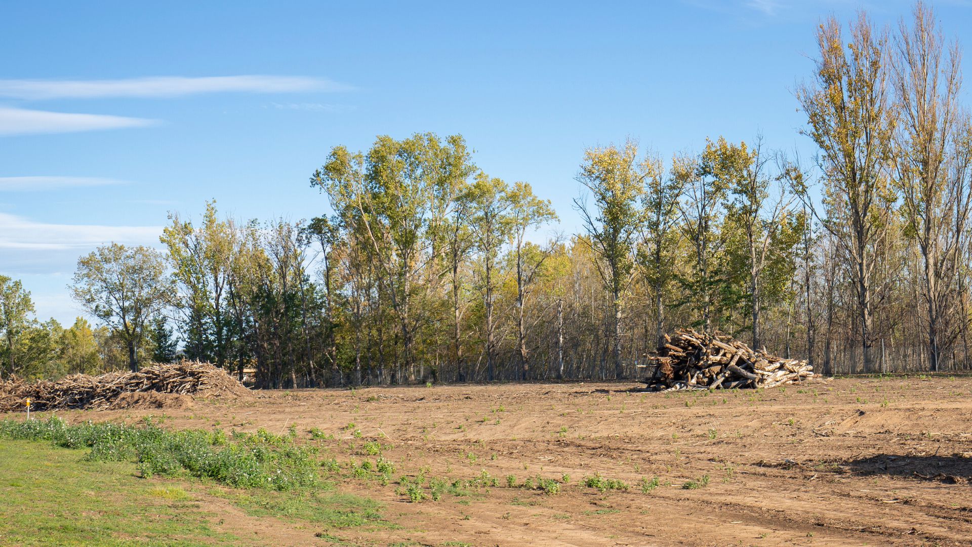 A large pile of wood sitting on top of a dirt field